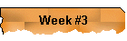 Week #3