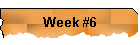Week #6