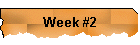 Week #2